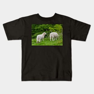 Sheep Kids T-Shirt